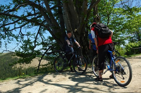 Натисніть, щоб побачити повний розмір