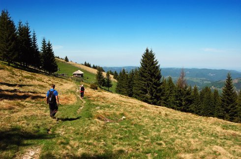 Натисніть, щоб побачити повний розмір