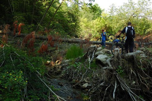 Натисніть, щоб побачити повний розмір