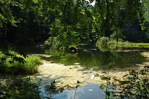 Натисніть, щоб побачити повний розмір