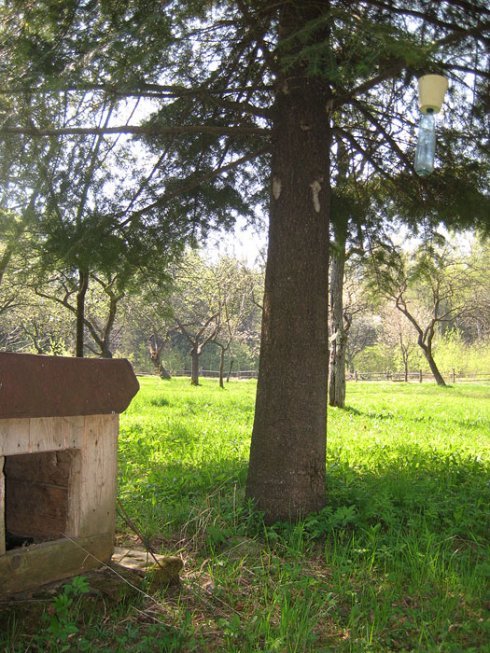 Натисніть, щоб побачити повний розмір