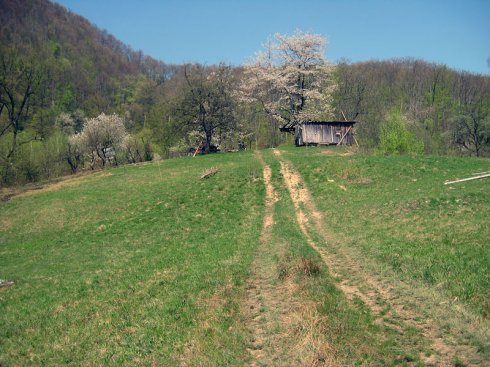 Натисніть, щоб побачити повний розмір