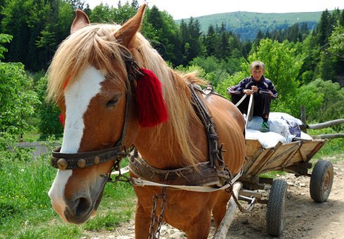 Натисніть, щоб побачити повний розмір