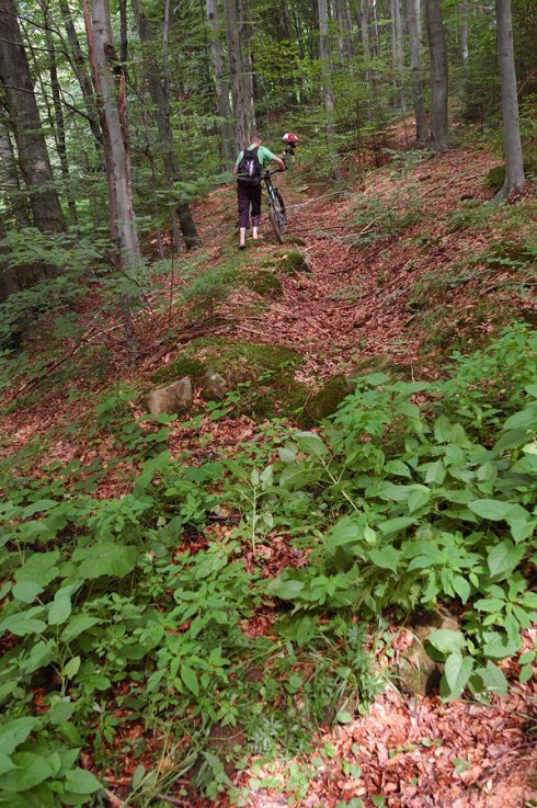 Натисніть, щоб побачити повний розмір