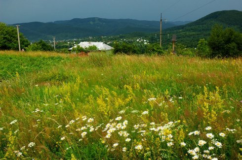 Натисніть, щоб побачити повний розмір