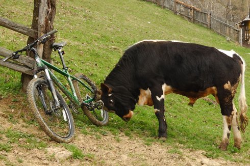 Натисніть, щоб побачити повний розмір