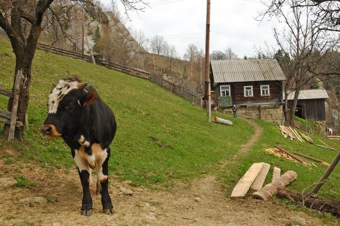 Натисніть, щоб побачити повний розмір
