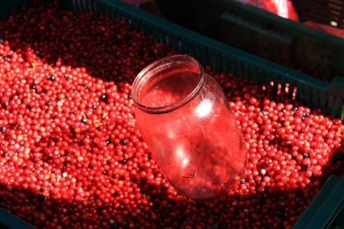 Натисніть, щоб побачити повний розмір