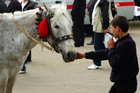Натисніть, щоб побачити повний розмір