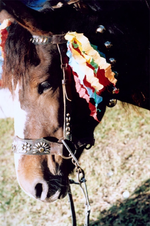 Натисніть, щоб побачити повний розмір
