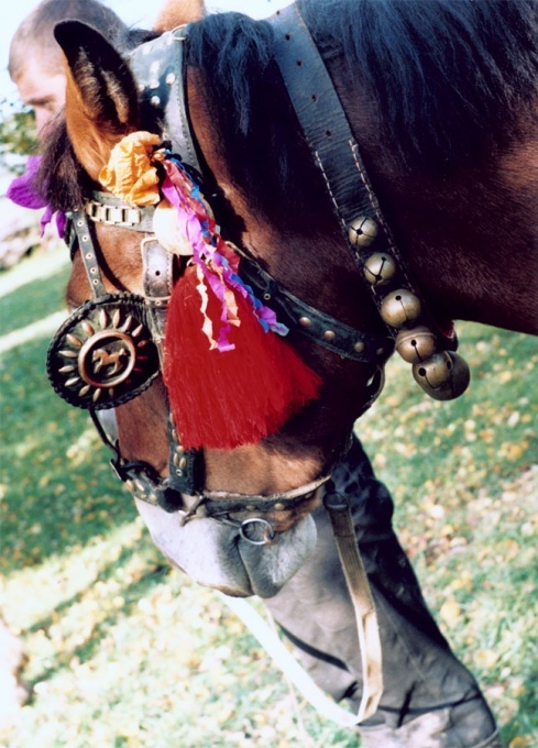 Натисніть, щоб побачити повний розмір