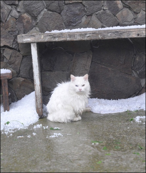 Натисніть, щоб побачити повний розмір