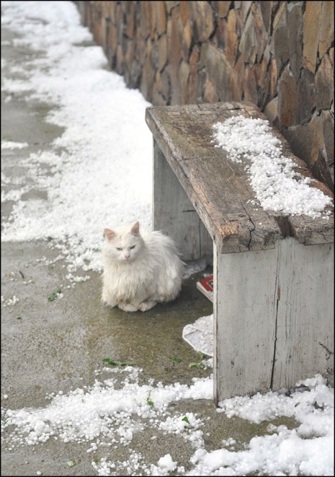 Натисніть, щоб побачити повний розмір