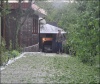 DSC_0444-small.jpg