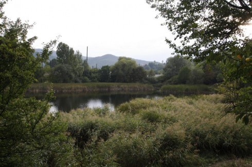 Натисніть, щоб побачити повний розмір