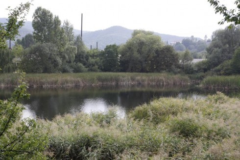 Натисніть, щоб побачити повний розмір