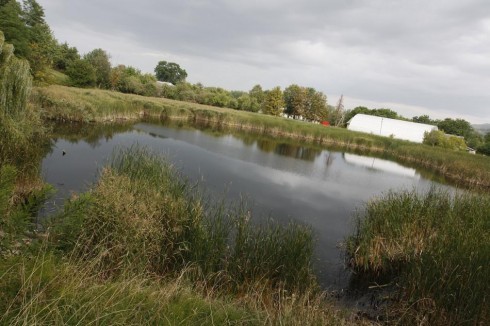 Натисніть, щоб побачити повний розмір