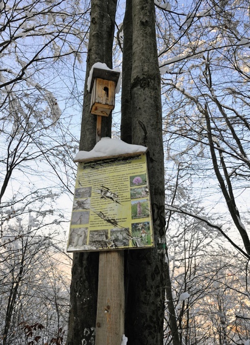 Натисніть, щоб побачити повний розмір