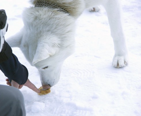 Натисніть, щоб побачити повний розмір