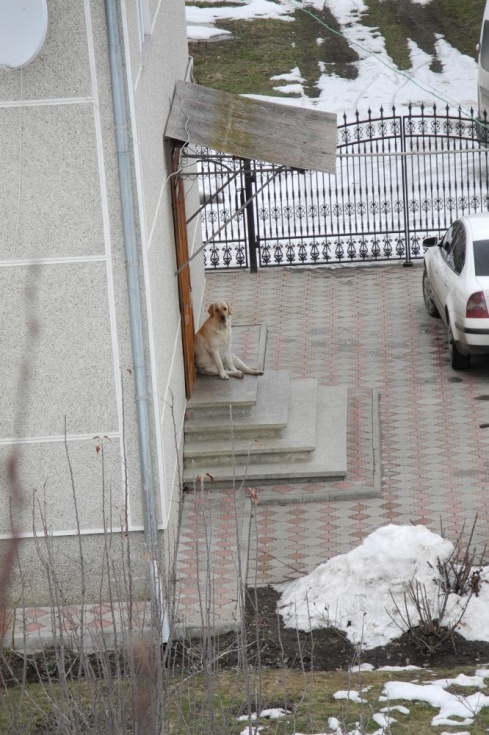 Натисніть, щоб побачити повний розмір