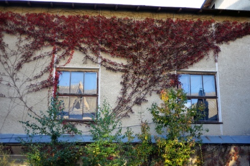 Натисніть, щоб побачити повний розмір