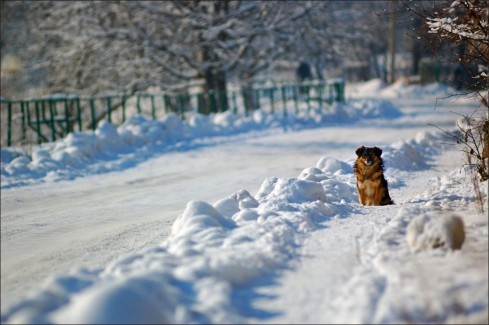 Натисніть, щоб побачити повний розмір