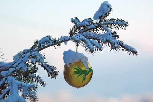 Натисніть, щоб побачити повний розмір