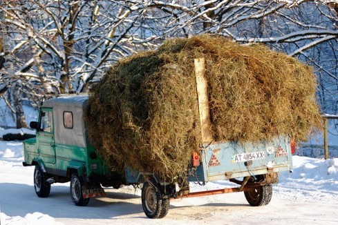 Натисніть, щоб побачити повний розмір