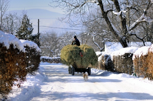 Натисніть, щоб побачити повний розмір