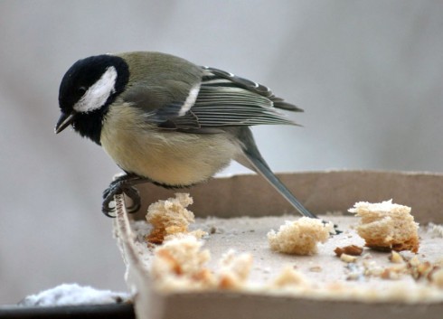 Натисніть, щоб побачити повний розмір