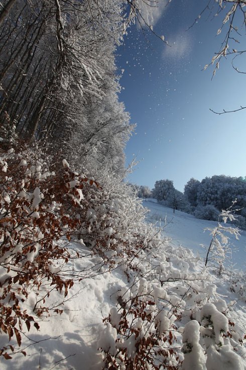 Натисніть, щоб побачити повний розмір