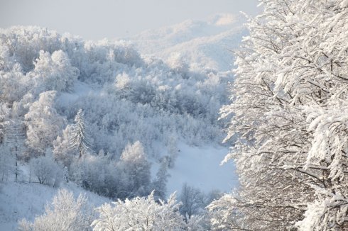 Натисніть, щоб побачити повний розмір