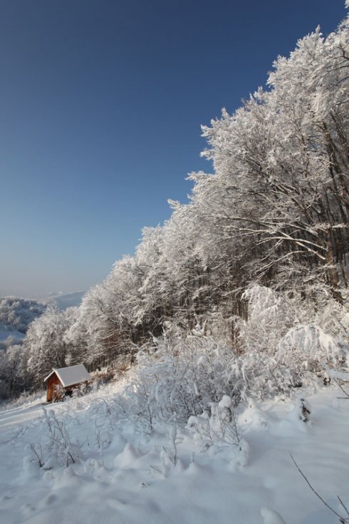 Натисніть, щоб побачити повний розмір