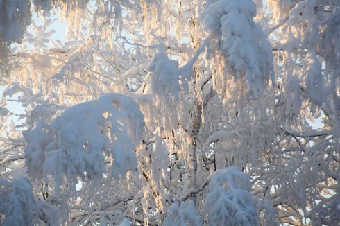 Натисніть, щоб побачити повний розмір