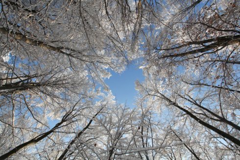 Натисніть, щоб побачити повний розмір