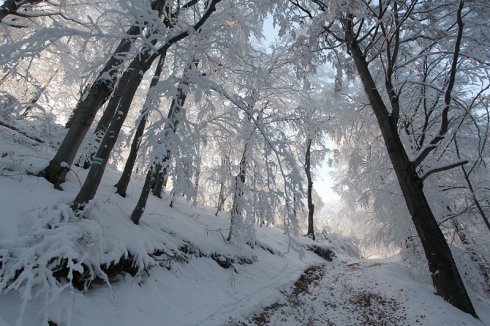 Натисніть, щоб побачити повний розмір