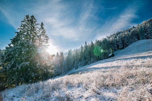 Натисніть, щоб побачити повний розмір