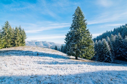 Натисніть, щоб побачити повний розмір