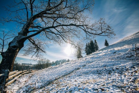 Натисніть, щоб побачити повний розмір