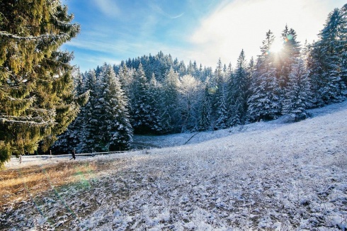 Натисніть, щоб побачити повний розмір