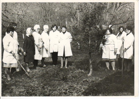 Натисніть, щоб побачити повний розмір