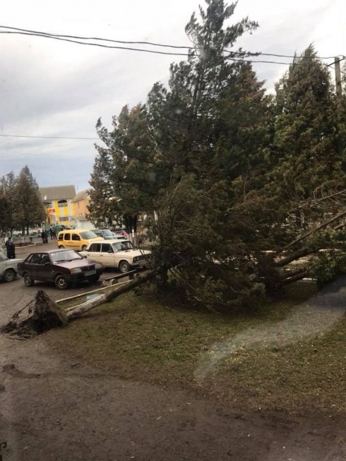 Натисніть, щоб побачити повний розмір