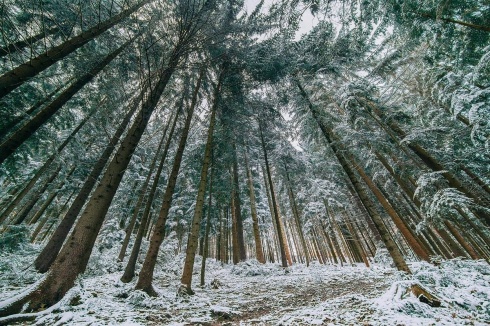 Натисніть, щоб побачити повний розмір