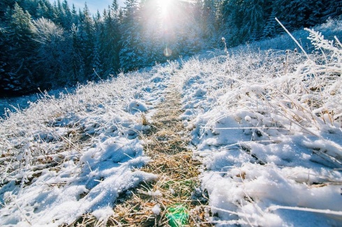 Натисніть, щоб побачити повний розмір