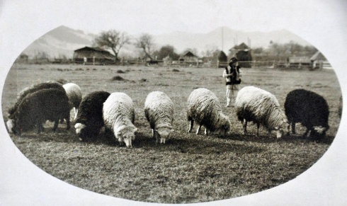 Натисніть, щоб побачити повний розмір
