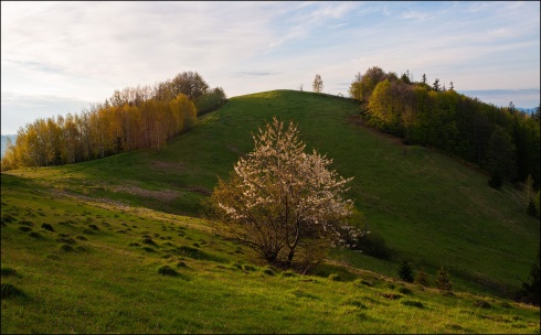 Натисніть, щоб побачити повний розмір
