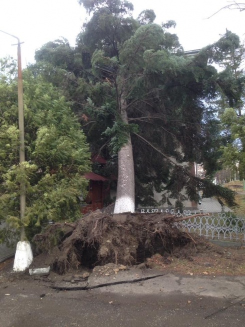 Натисніть, щоб побачити повний розмір