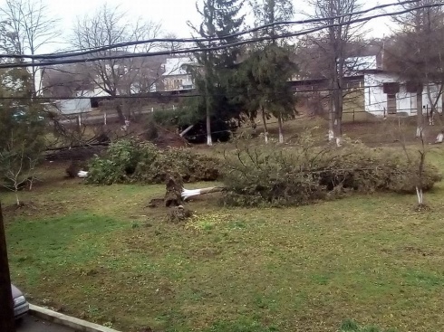 Натисніть, щоб побачити повний розмір