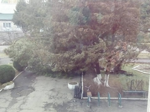 Натисніть, щоб побачити повний розмір