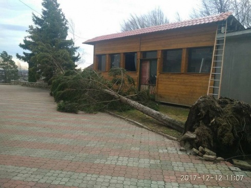 Натисніть, щоб побачити повний розмір
